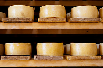 Image showing Pag cheese