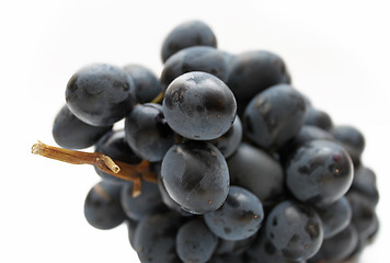 Image showing cluster of grapes