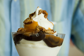 Image showing Hot Fudge Sundae