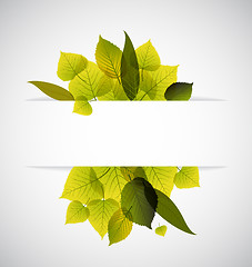 Image showing Spring leafs abstract background