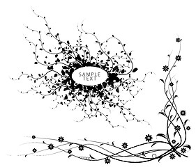 Image showing Black and white floral elements