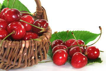 Image showing Cherries