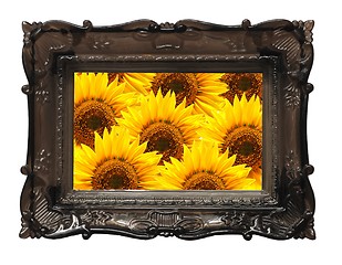 Image showing flowers and image frame on wall