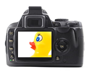 Image showing toy duck on camera