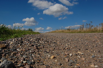 Image showing summer scene