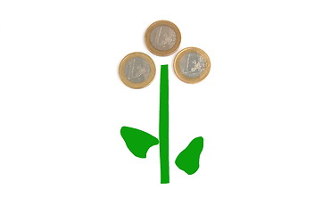 Image showing money plant