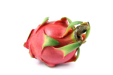 Image showing Dragon fruit