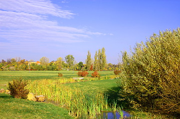 Image showing summer in the park with green trees and grass