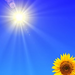 Image showing sunflower and blue sky