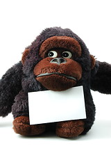 Image showing isolated teddy with blank sheet