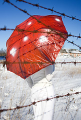 Image showing mushroom season