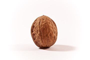 Image showing walnut