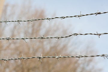 Image showing barbwire