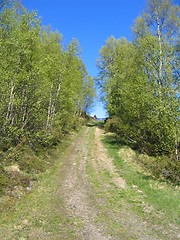 Image showing Country road