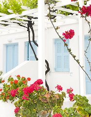 Image showing exterior rooms to let Cyclades architecture Paros Cyclades Greec