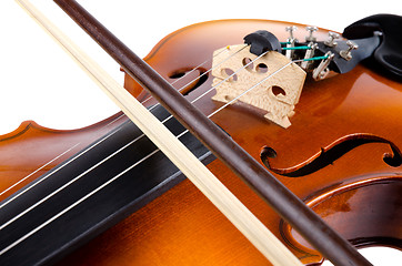 Image showing Violin close up 