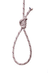 Image showing noose on white