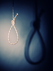 Image showing noose