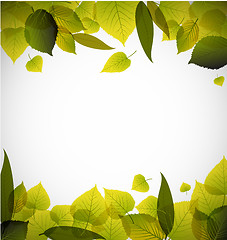 Image showing Spring leafs abstract background