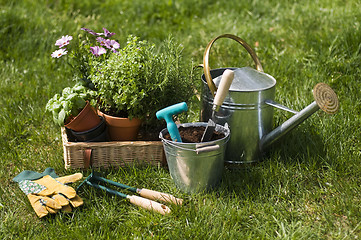 Image showing Gardening