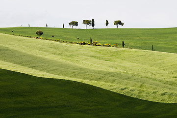 Image showing Tuscany