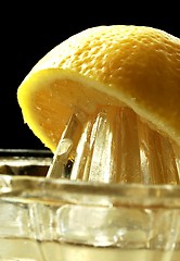 Image showing lemon juice