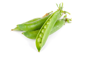 Image showing Ripe pea