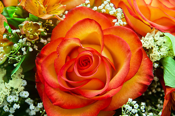 Image showing orange roses flower bouquet