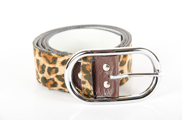 Image showing leopard belt