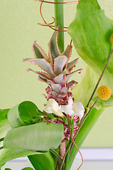 Image showing decorating pineapple