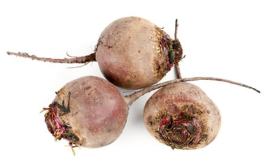 Image showing Fresh beets