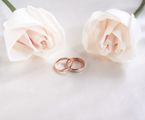 Image showing Wedding rings and roses as background 