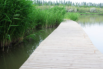 Image showing Wooden bridge in water