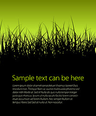 Image showing Green vector grass background