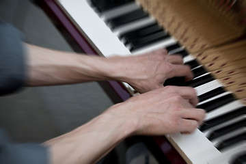 Image showing Piano player entertaining