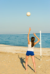 Image showing Beach volley