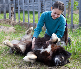 Image showing Girl playing with dog