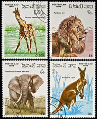 Image showing Collection of wild animals stamps.