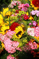 Image showing Flowers for sale