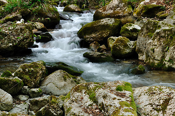 Image showing Forest waterfall