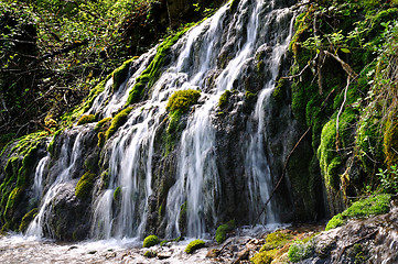 Image showing Forest waterfall