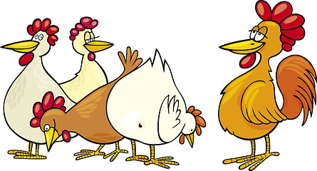Image showing Rooster and hens