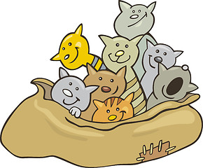 Image showing Cats in sack