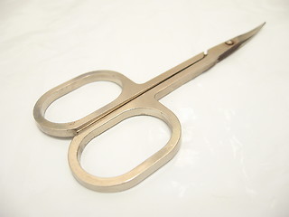 Image showing Scissors