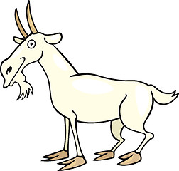 Image showing goat