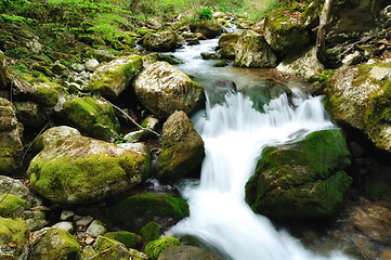 Image showing Forest waterfall