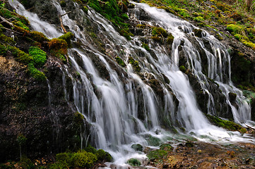 Image showing Forest waterfall