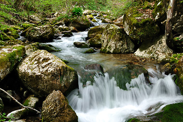 Image showing Forest waterfall