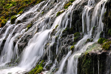 Image showing Forest waterfall