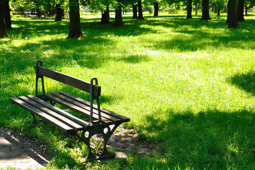 Image showing Spring morning in park